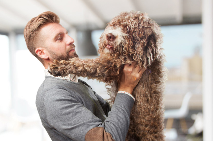 My Pet Is Shaking Their Head—Should I Be Worried?