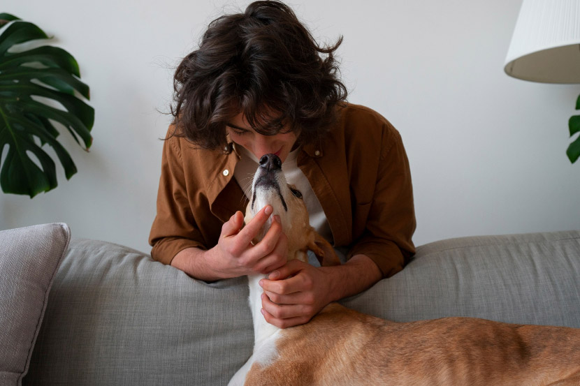 How Can I Help My Anxious Pet?