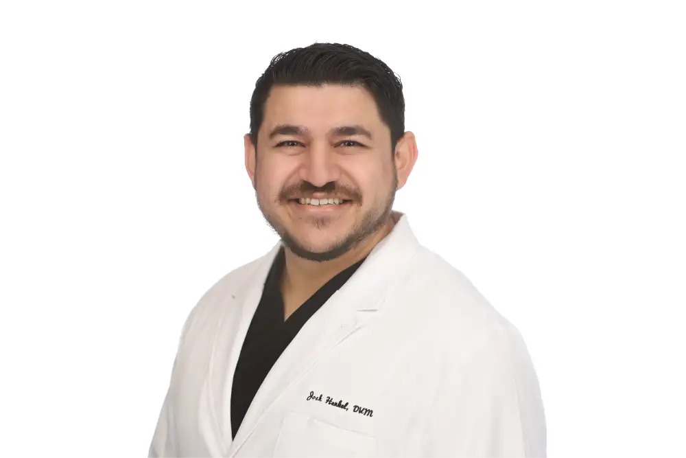 Dr. Josh Henkel