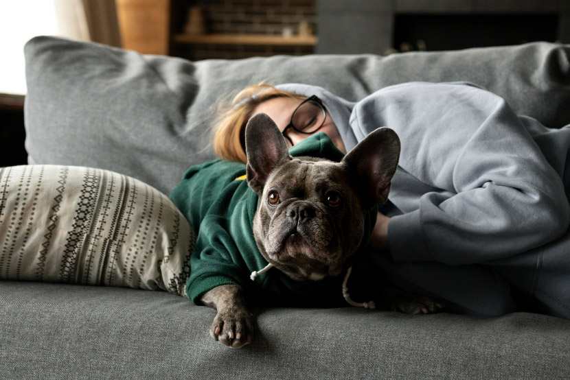 Helping Pets Cope With Anxiety: Creating a More Peaceful Life for Your Dog or Cat