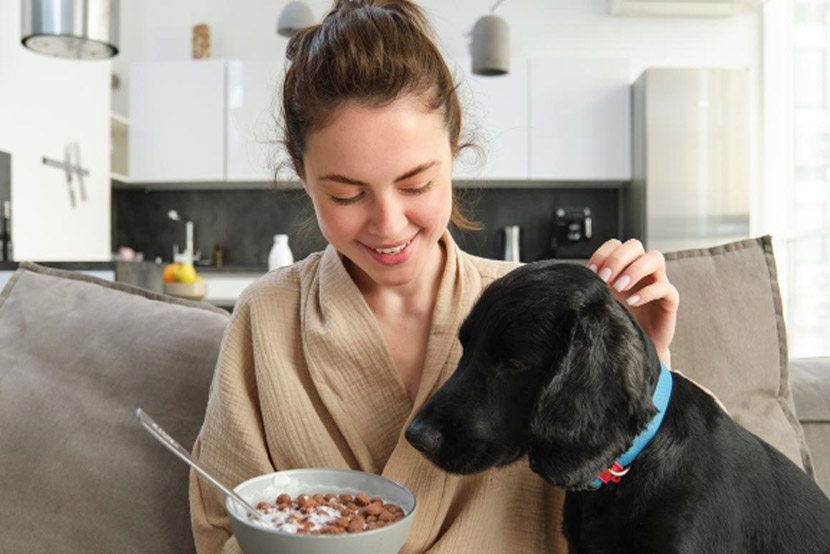 A Guide to Common Household Food Dangers for Pets