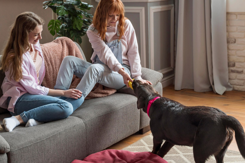 10 Household Toxins That Threaten Your Pet’s Safety