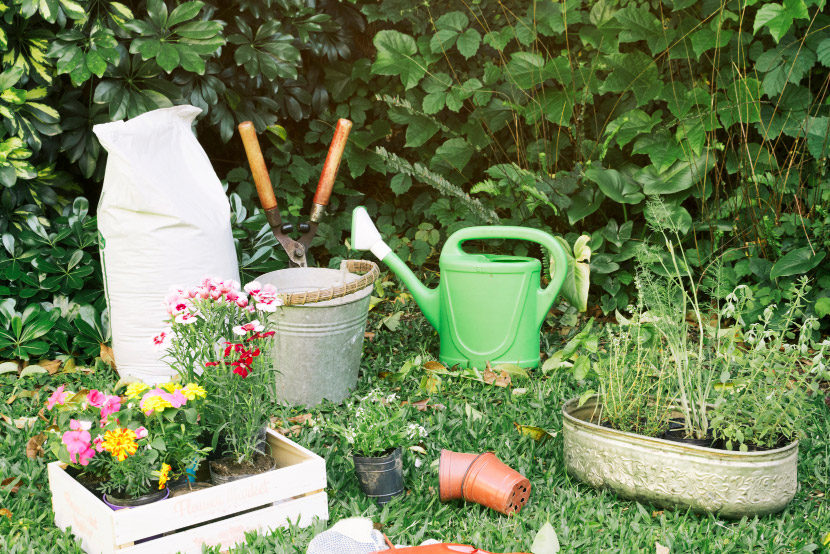 Is Your Garden Pet-Friendly? Hidden Dangers You Need to Know