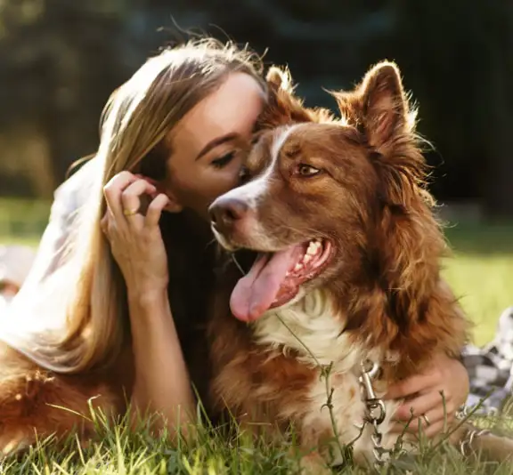 Empire Ranch Veterinary Hospital – What’s Going On Inside Your Pet Bloodwork Through Every Life Stage