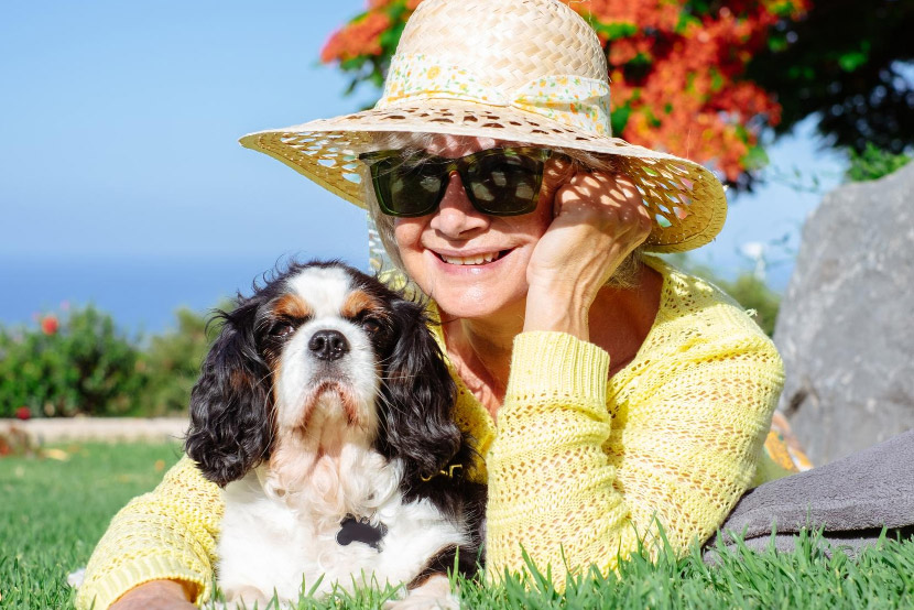 Adventure Awaits: Essential Summer Travel Tips for Pets on the Go
